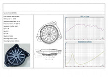 Load image into Gallery viewer, STEG BZ W80LR 20CM SPEAKERS