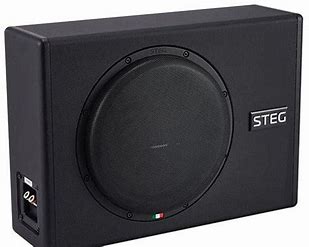 ST10P 10”INCH SUBWOOFER WITH BOX