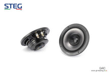 Load image into Gallery viewer, STEG Q-4C (CONCENTRIC SPEAKERS)
